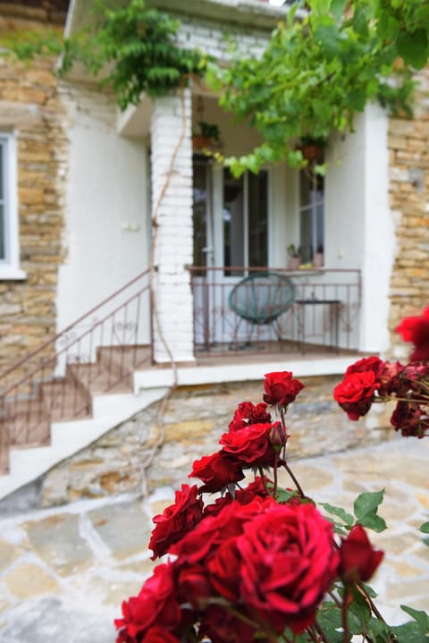 Property building, Facade/entrance, Garden, Balcony/Terrace