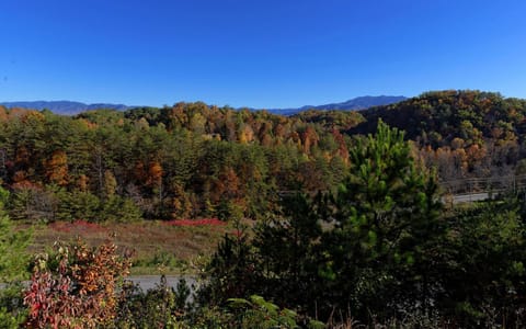 Splash Mansion Villa in Sevier County