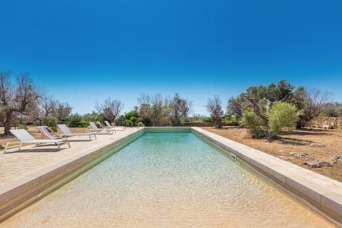 Swimming pool, sunbed