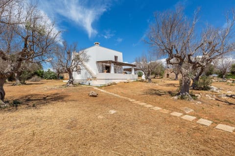 Property building, Natural landscape, Garden