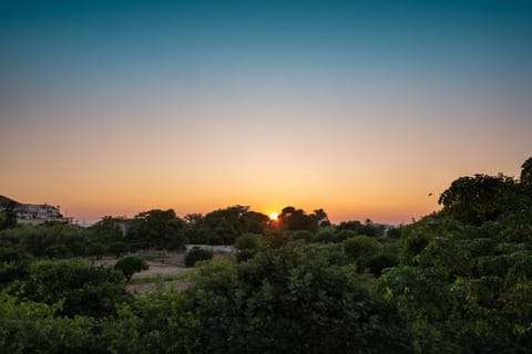 Day, Natural landscape, Sunset