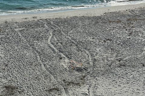 Turtle Tracks on the Beach Haus in Manasota Key