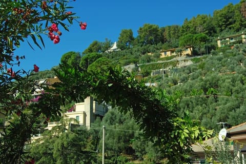 Bilocale grazioso montefiorito Apartment in Recco