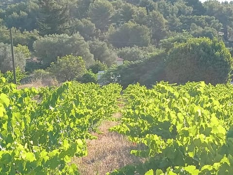 La naronne Bed and Breakfast in La Cadière-d'Azur