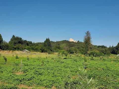 En campagne, proche de L'Isle-sur-la-Sorgue House in Le Thor