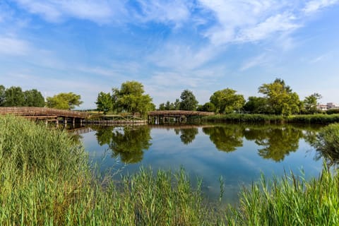 Natural landscape, Lake view