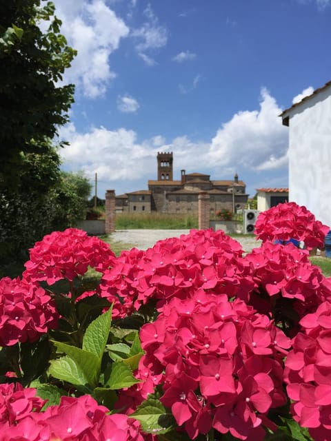 Spring, Garden, View (from property/room)