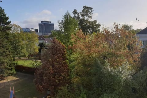 Day, Natural landscape, Garden view