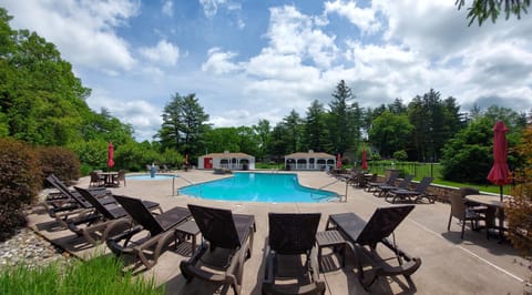 Summer, Garden, Garden view, Swimming pool