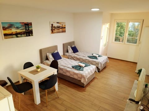 Apartman Djuras 1 Apartment in Belgrade