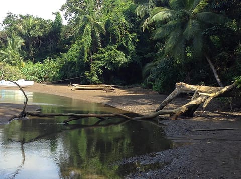 Off site, Natural landscape, Beach