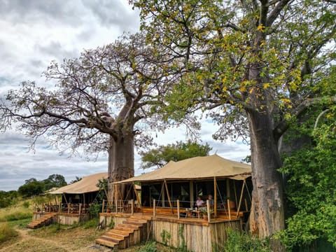 Lounge or bar, Lunch