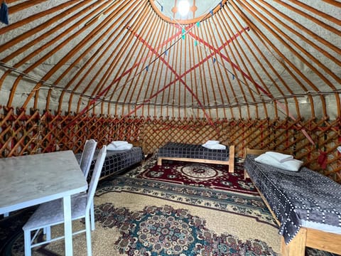 Bosogo Yurt camp Hotel in Kazakhstan