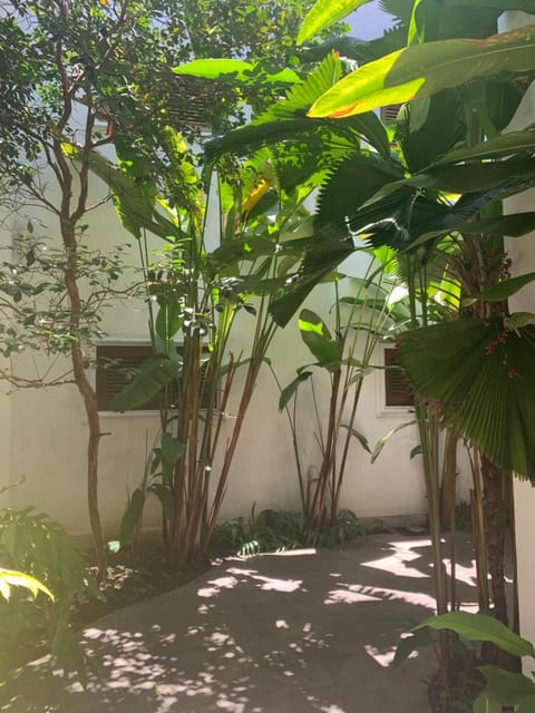Ellen’s place Casa vacanze in Colombo