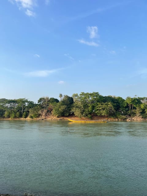 Natural landscape, River view