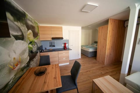 Sport apartments Apartamento in 4240 Radovljica, Slovenia