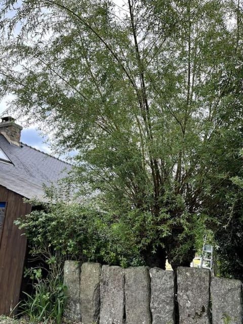 Charmant Penty Breton, entre terre et mer, Tregunc Casa in Trégunc