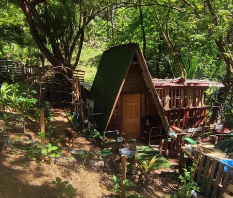 Victoria´s forest House Casa de campo in Bay Islands Department