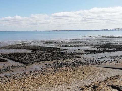 Natural landscape, Beach, Sea view