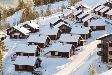 Koselig leilighet med et skritt unna skibakken! Apartment in Viken, Norway