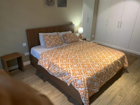 Luxury One Bedroom Apartment Condo in Accra