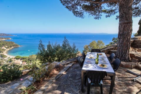 Natural landscape, Dining area, Beach, Sea view