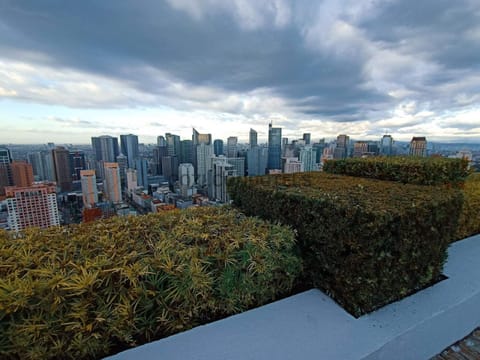 Garden, City view