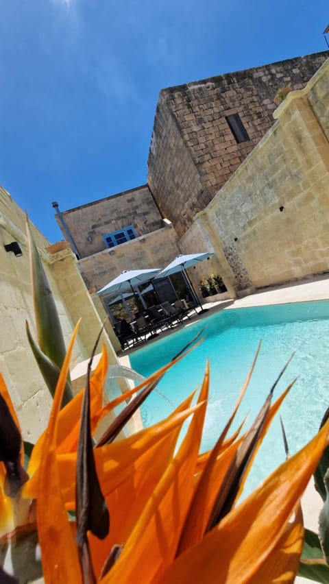 Pool view, Swimming pool, sunbed