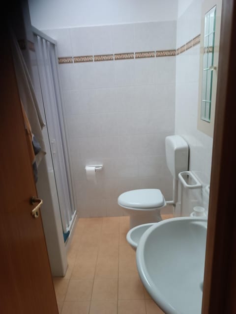 Shower, Toilet, Bathroom, bidet