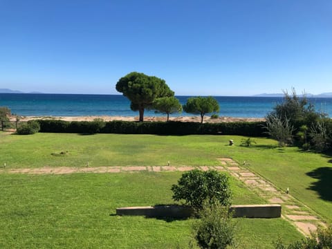 Garden, Beach, Garden view, Sea view