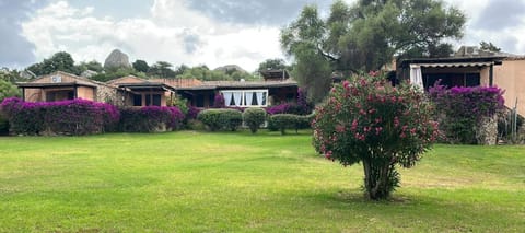 Garden, Garden view