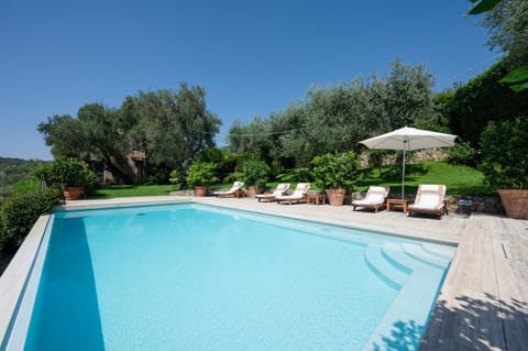 Garden, Garden view, Pool view, Swimming pool, Swimming pool, sunbed