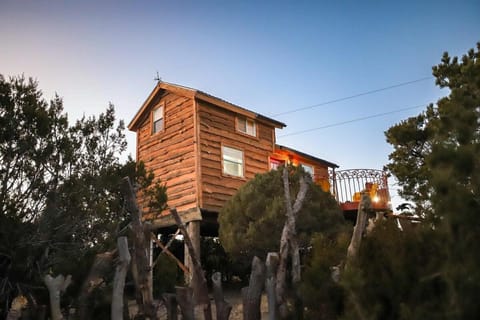 Crows Nest Treehouse At El Mstico Ranch House in New Mexico