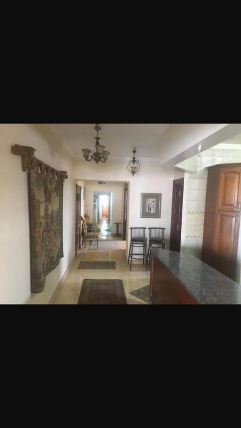 شقه فندقيه علي النيل Condo in Cairo