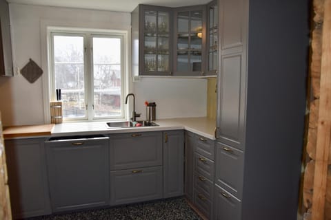 Kitchen or kitchenette, dishwasher