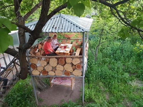 Day, Dining area, Guests, Garden view