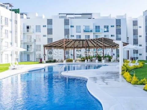 Garden, Pool view, Swimming pool