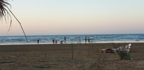 Day, People, Natural landscape, Beach, Sea view, group of guests