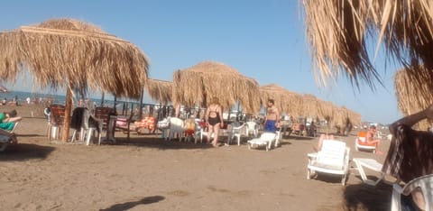 Day, People, Beach, Sea view, group of guests, sunbed