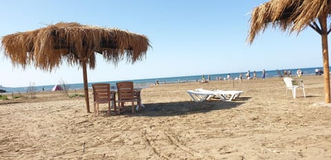 Day, Beach, Sea view, sunbed