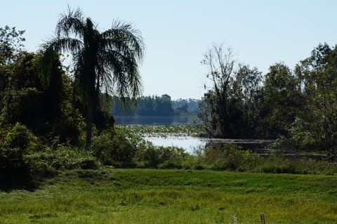 Day, Lake view