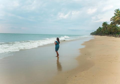 Beach, Guests, Sea view