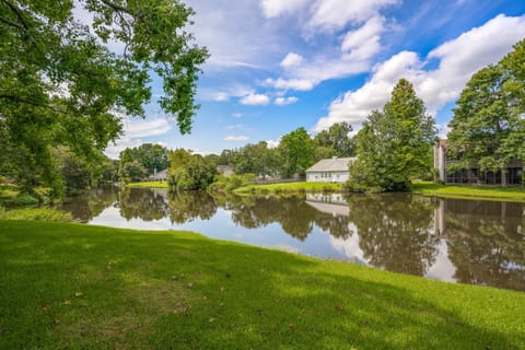 Natural landscape, View (from property/room)