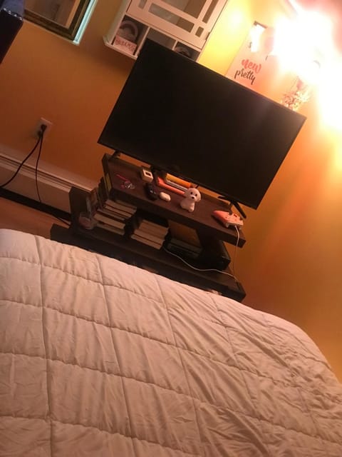 Dream Room Bed and Breakfast in Flushing