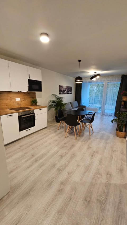 Kitchen or kitchenette, Dining area, oven, stove