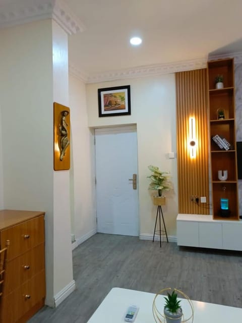 Elegantly furnished studio in Asokoro Condo in Abuja