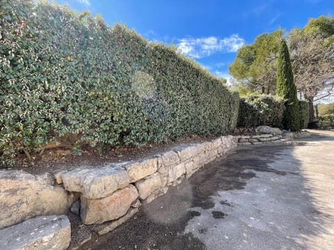 Garden, Garden view