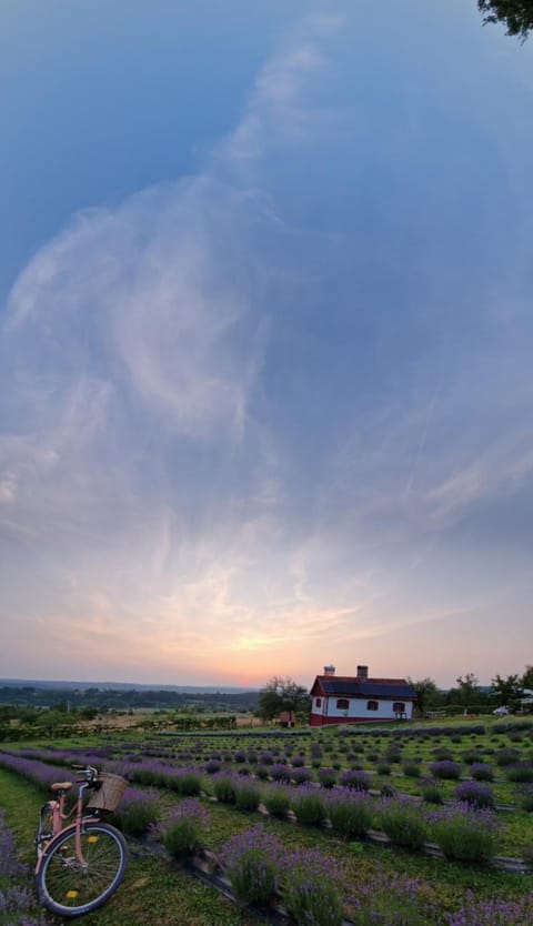 Natural landscape, Sunset