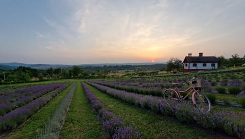 Natural landscape, Sunset