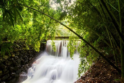 Quinta da Mo Casa de campo in Azores District